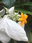 IMG-20180304-WA0024.jpg