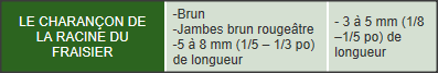 caractéristiques.png