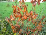 IMG_1549.jpg