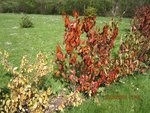 IMG_1581.jpg