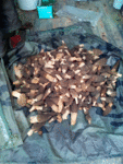 Les morilles, nous étions à trois, un kilo chacun...