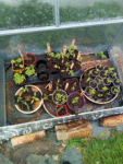 IMG_20180415_132954.gif