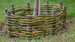 05205910-photo-plessage-autour-d-un-arbre.jpg