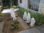 DSCN4523.JPG