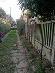 883050.jpg