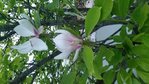 20180415_204058.jpg