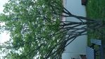 20180415_204119.jpg