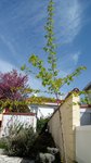 20180415_113253 - Copie (Copier).jpg