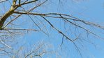 20180421_105255.jpg