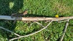 20180421_105139.jpg