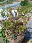 IMG_20180421_151244.jpg
