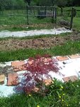 IMG_20180421_151019.jpg