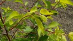 DSCN4007.JPG