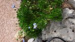 rps20180423_181408.jpg
