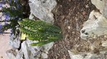 rps20180423_190455_909.jpg