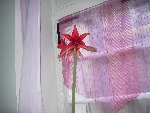 DSCN6701.JPG