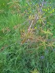 IMG_20180425_095508.jpg