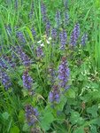 IMG_20180425_095549.jpg