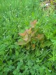 IMG_20180425_095613.jpg