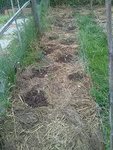 rps20180425_105629_437.jpg
