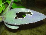 DSC00909.JPG