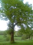 IMG_20180426_083839.jpg