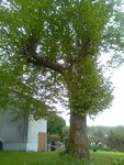 IMG_20180426_083928.jpg