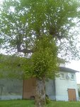 IMG_20180426_083943.jpg