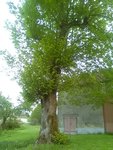 IMG_20180426_084004.jpg
