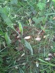 IMG_20180426_084040.jpg