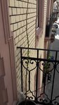 20180426_113141.jpg