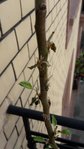 20180426_113219.jpg