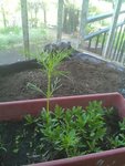 rps20180426_173311_348.jpg