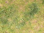 IMG_2564.JPG