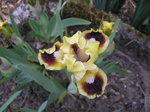 P4280009.JPG
