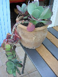 DSCN2985.JPG