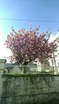 image0000001.jpg