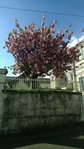 image0000001_2.jpg
