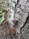 IMG-20180430-WA0019.jpg