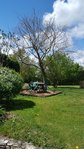20180501_133908.jpg