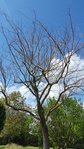 20180501_133917.jpg