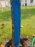 20180501_112730 (Copier).jpg