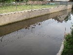canard 25.JPG