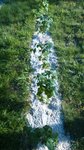 DSC_0917-min-min.JPG