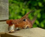 03.05.2018Lumix.jpg._18a.jpg