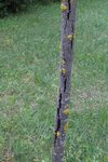 IMG_1391.JPG