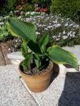 IMG_20180505_165141.jpg
