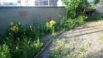 DSC_0503.JPG