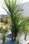 DSCF3888.JPG