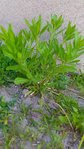 P_20180508_111049.jpg